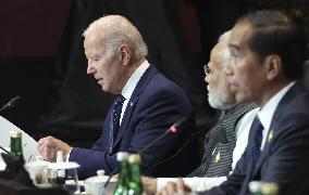 G-20 summit in Indonesia