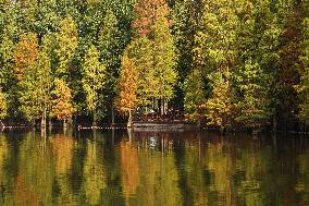 CHINA-JIANGSU-CHANGSHU-WETLANDS (CN)