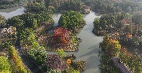 CHINA-JIANGSU-CHANGSHU-WETLANDS (CN)