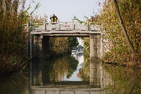 CHINA-JIANGSU-CHANGSHU-WETLANDS (CN)