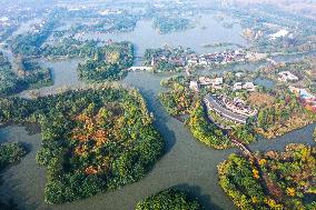 CHINA-JIANGSU-CHANGSHU-WETLANDS (CN)