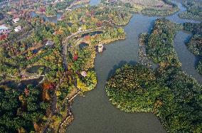 CHINA-JIANGSU-CHANGSHU-WETLANDS (CN)