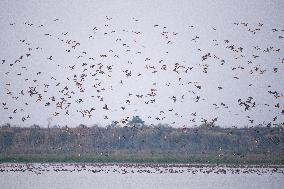 CHINA-HUNAN-CHANGDE-WETLAND CITY (CN)