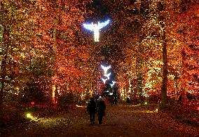 GERMANY-BERLIN-CHRISTMAS GARDEN BERLIN-LIGHT SHOW