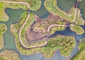 CHINA-HAINAN-HAIKOU-WETLAND CITY (CN)