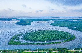 CHINA-HAINAN-HAIKOU-WETLAND CITY (CN)