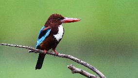 CHINA-HAINAN-HAIKOU-WETLAND CITY (CN)