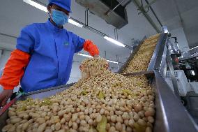 #CHINA-GUIZHOU-SUIYANG-AGRICULTURAL PRODUCT (CN)