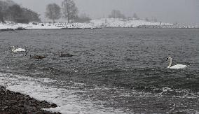 Viikonloppuna etelään luvassa jopa kymmenen senttiä lunta