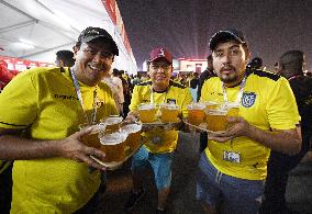 Football: FIFA Fan Festival