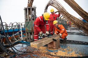 CHINA-SHANGHAI-ANCIENT SHIPWRECK-SALVAGE  (CN)