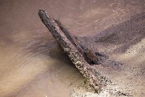 CHINA-SHANGHAI-ANCIENT SHIPWRECK-SALVAGE  (CN)