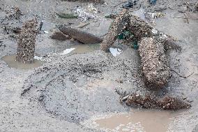 CHINA-SHANGHAI-ANCIENT SHIPWRECK-SALVAGE  (CN)