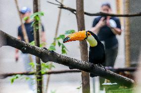 PHILIPPINES-MANILA-ZOO-REOPENING
