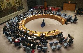 UNSC discusses N. Korea