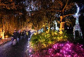 CANADA-VANCOUVER-FESTIVAL OF LIGHTS