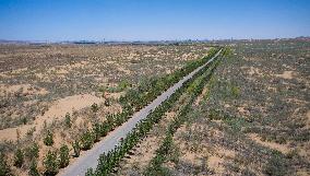 Xinhua Headlines: China's Ningxia taps desert resources to realize green development