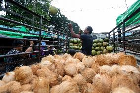 MYANMAR-YANGON-BANANA AND COCONUT MARKET
