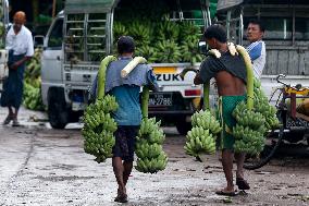 MYANMAR-YANGON-BANANA AND COCONUT MARKET