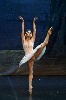 Ukrainalaisen Kiova Grand Balletin Joutsenlampi