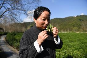 (MASTER OF CRAFTS)CHINA-ANHUI-QIMEN-KEEMUN BLACK TEA-INHERITOR (CN)