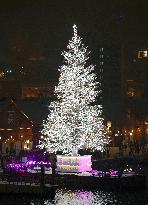 Xmas tree in northern Japan