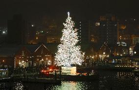 Xmas tree in northern Japan