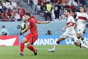 Football World Cup in Qatar