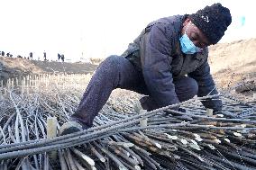 CHINA-HEILONGJIANG-WORLD SOIL DAY (CN)