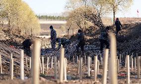 CHINA-HEILONGJIANG-WORLD SOIL DAY (CN)