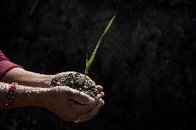 NEPAL-LALITPUR-WORLD SOIL DAY