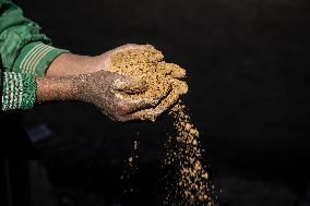 NEPAL-LALITPUR-WORLD SOIL DAY