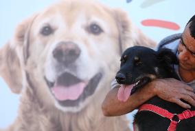 MIDEAST-RAMALLAH-DOG CARE CENTER