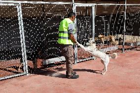 MIDEAST-RAMALLAH-DOG CARE CENTER