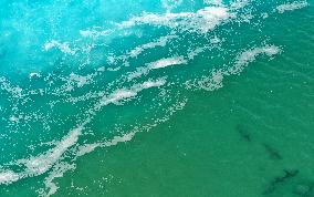 ISRAEL-HADERA-MEDITERRANEAN SEA-SHARKS