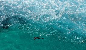 ISRAEL-HADERA-MEDITERRANEAN SEA-SHARKS