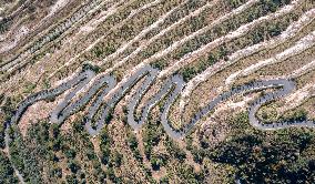 CHINA-SICHUAN-PANZHIHUA-CYCAD-NATURE RESERVE (CN)