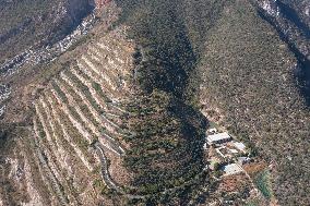 CHINA-SICHUAN-PANZHIHUA-CYCAD-NATURE RESERVE (CN)