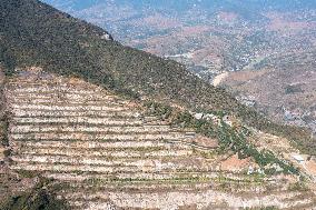 CHINA-SICHUAN-PANZHIHUA-CYCAD-NATURE RESERVE (CN)