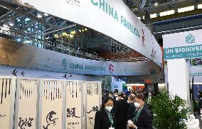 CANADA-MONTREAL-COP15-SECOND PHASE-CHINA PAVILION