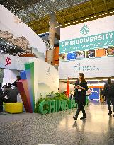 CANADA-MONTREAL-COP15-SECOND PHASE-CHINA PAVILION