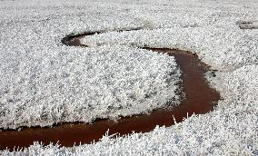 CHINA-SHANXI-YUNCHENG-SALT LAKE-"MIRABILITE FLOWERS" (CN)