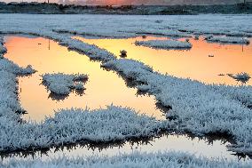 CHINA-SHANXI-YUNCHENG-SALT LAKE-"MIRABILITE FLOWERS" (CN)