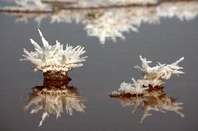 CHINA-SHANXI-YUNCHENG-SALT LAKE-"MIRABILITE FLOWERS" (CN)