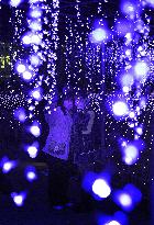 Illuminated wisteria trellis