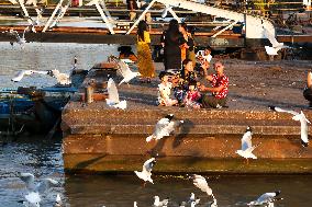 MYANMAR-YANGON-SEAGULLS