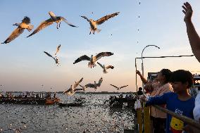 MYANMAR-YANGON-SEAGULLS