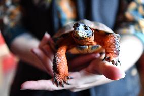 CANADA-QUEBEC-BECANCOUR-BIODIVERSITY MUSEUM