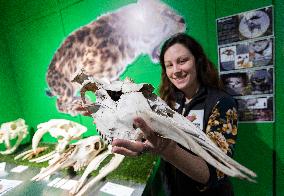 CANADA-QUEBEC-BECANCOUR-BIODIVERSITY MUSEUM