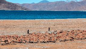 CHINA-TIBET-YAMDROK LAKE-SCENERY (CN)